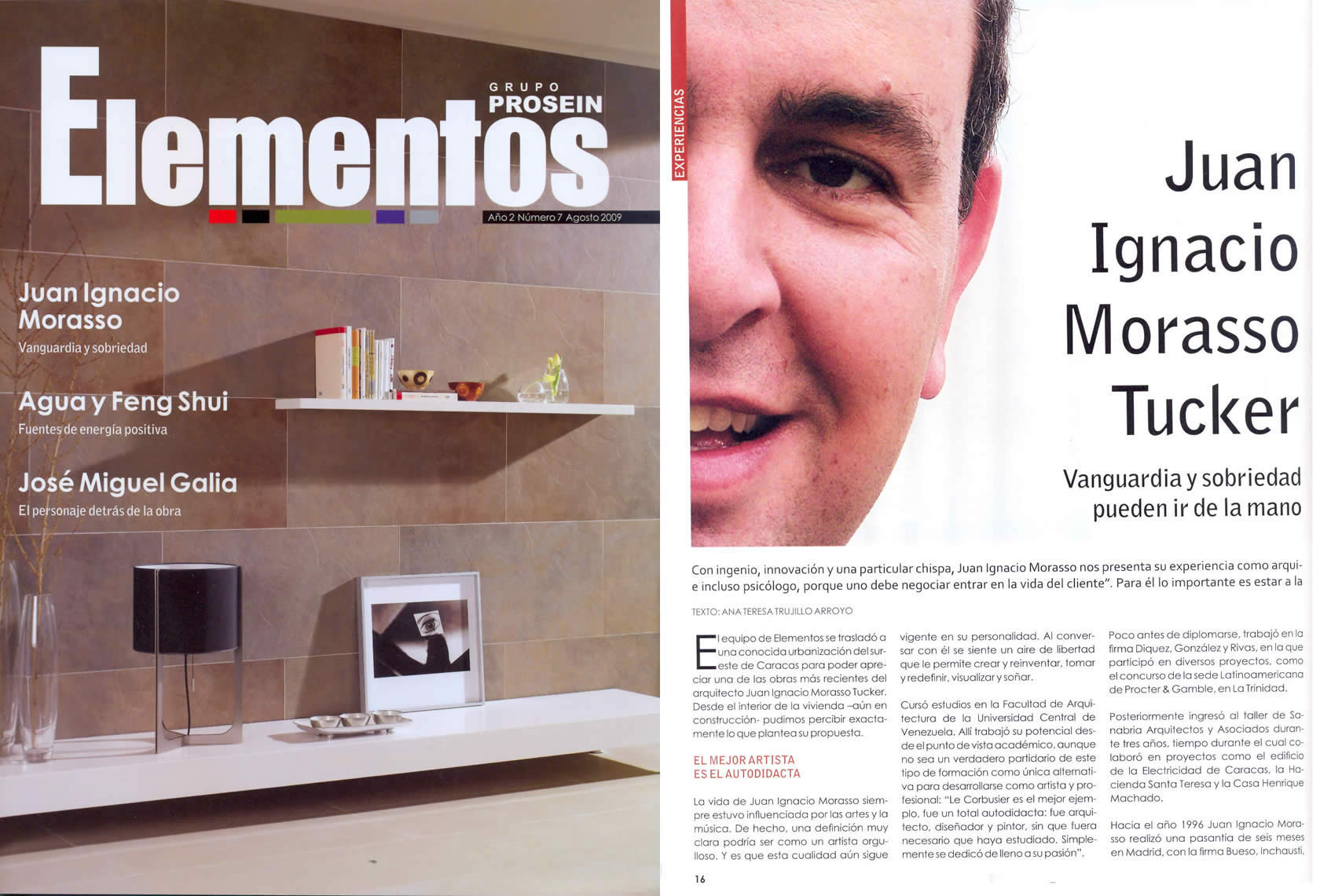 Revista Elementos / Prosein